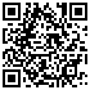 手机/微信访问网站